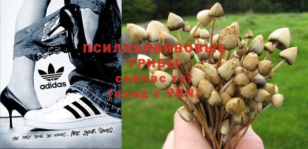 дживик Балабаново