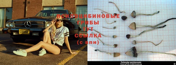 дживик Балабаново