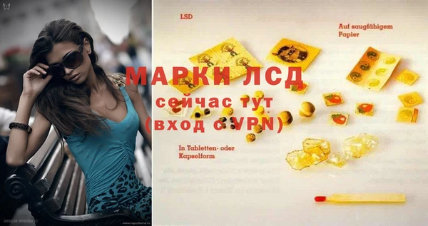 гашик Баксан