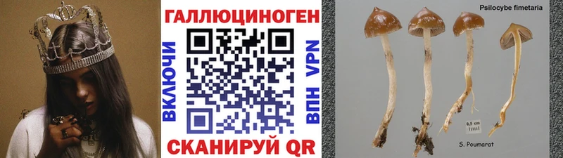 Псилоцибиновые грибы GOLDEN TEACHER  дарнет шоп  Гатчина 